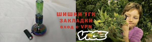 крисы Ельня