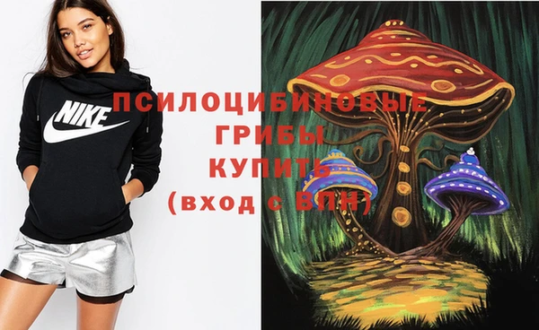 дживик Дмитриев