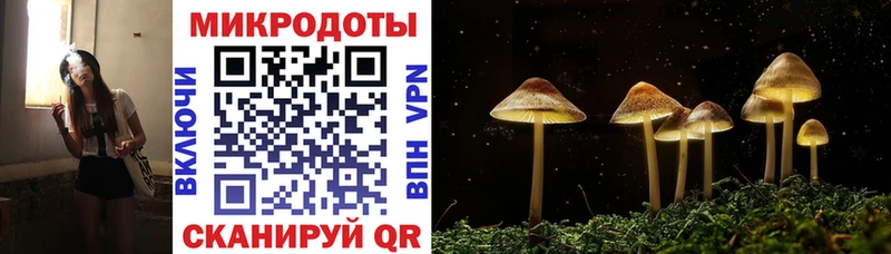 наркота  Зарайск  Псилоцибиновые грибы прущие грибы 